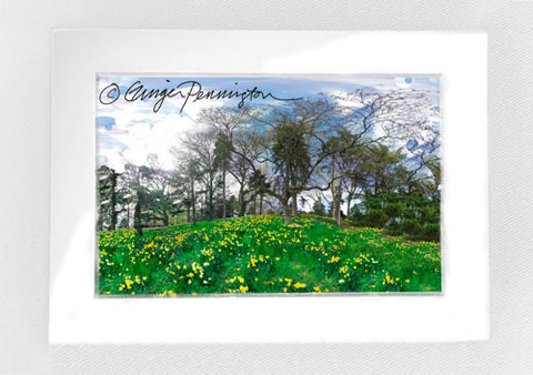 "Daffodil Hill" Matted Mini